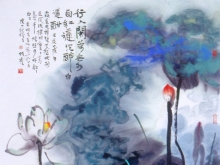 òʺɻƷ֮硷΢Ӱҡ