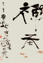 鷨СƷ衷