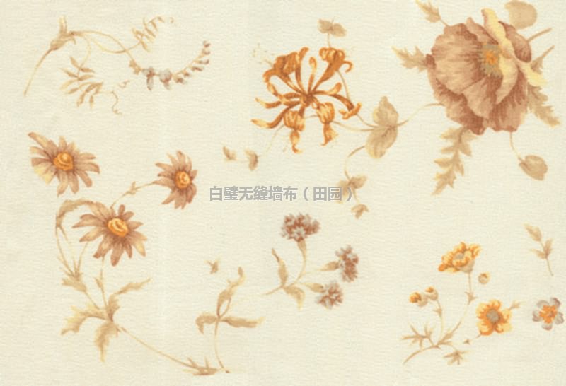 07297-04301޷ǽ.jpg