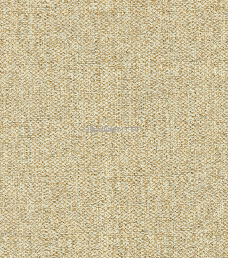 09022-01000޷ǽ.jpg