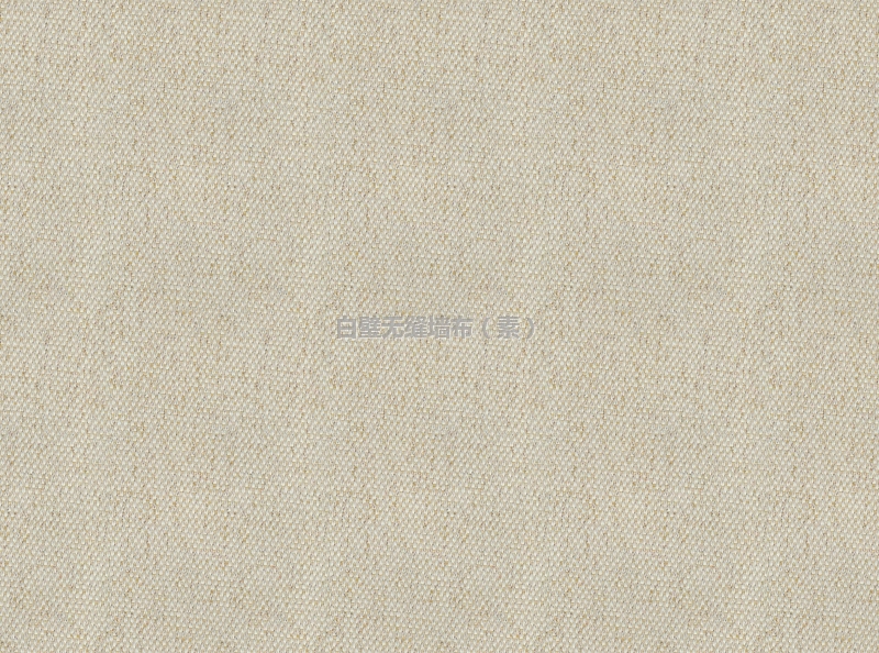 08032-03000޷ǽ.jpg
