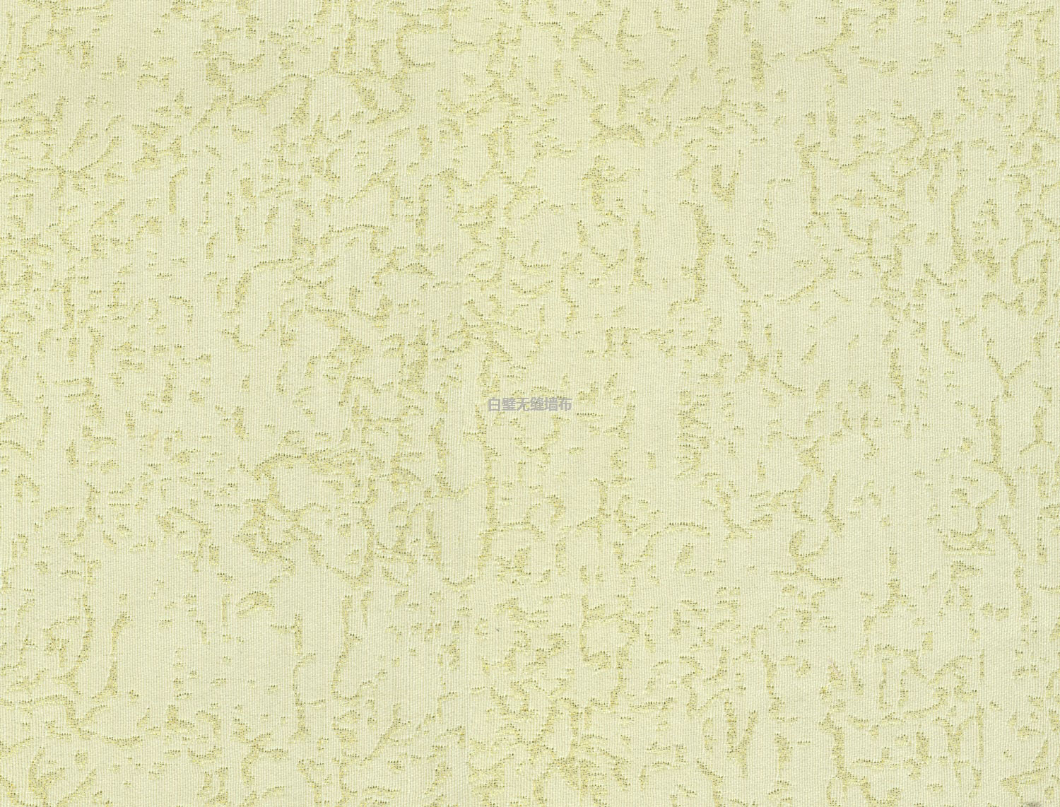 10009-01000޷ǽ.jpg