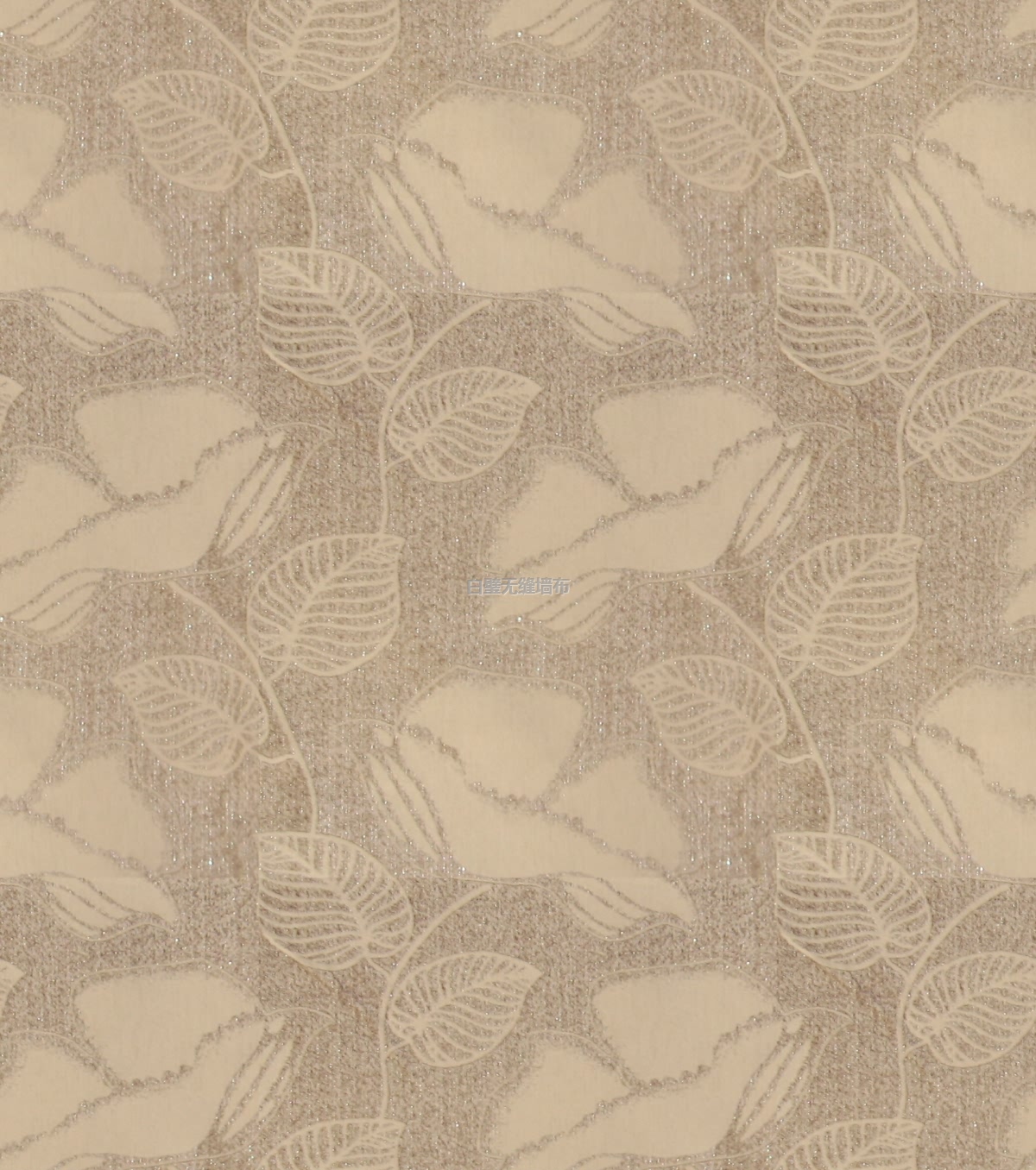 10005-02000޷ǽ.jpg