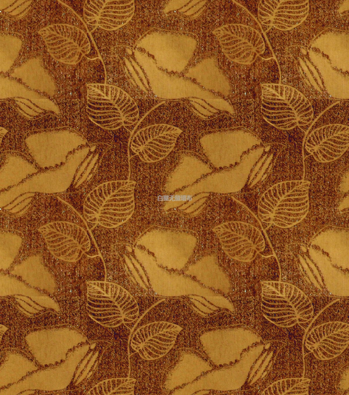 10005-03000޷ǽ.jpg