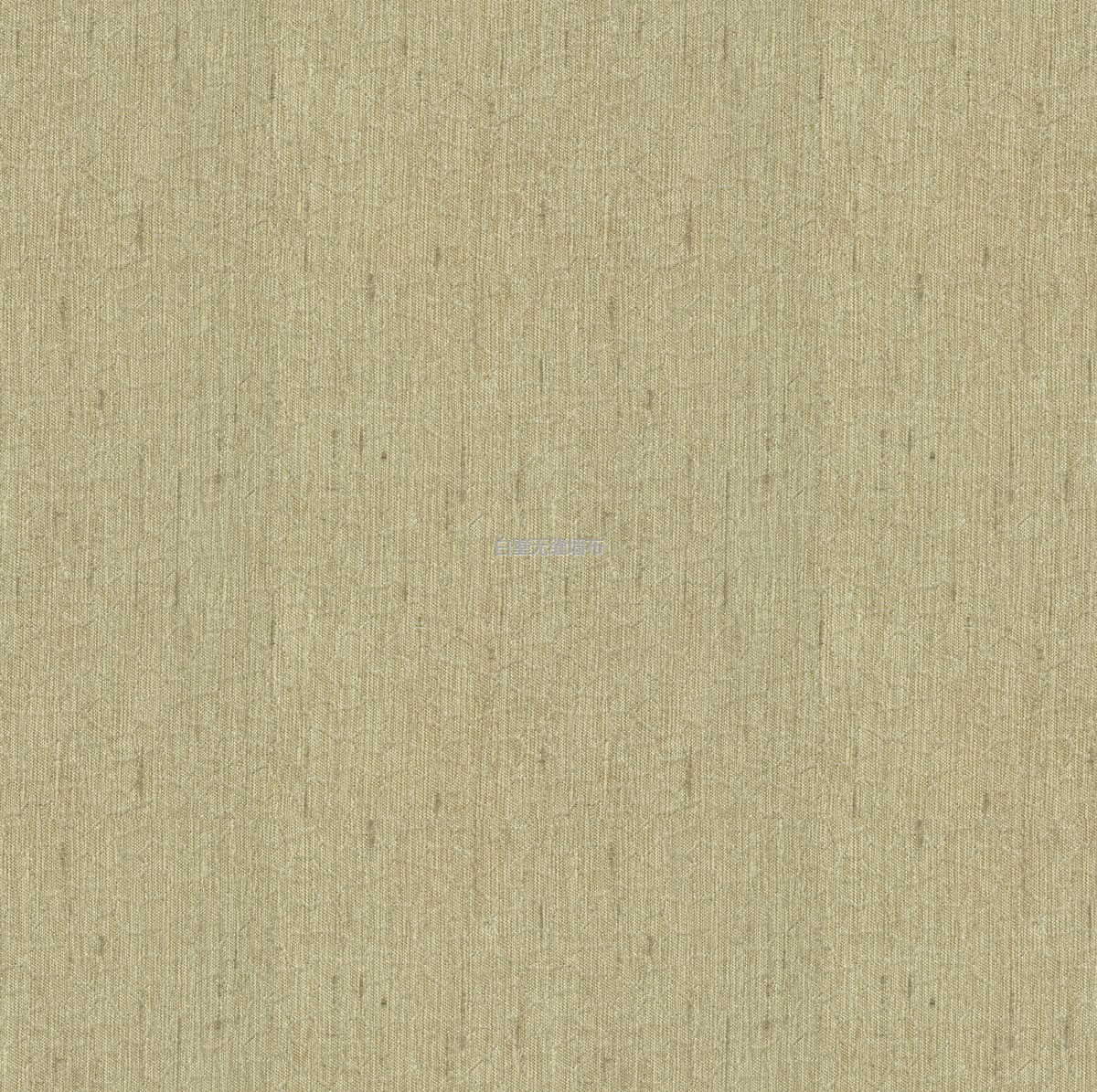 10053-02000޷ǽ.jpg