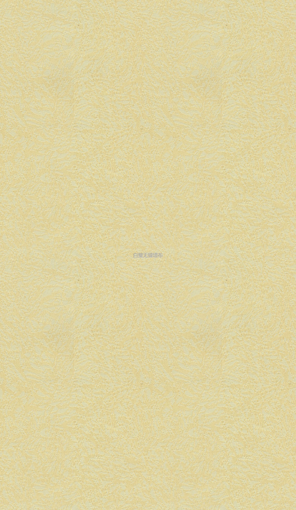11005-02000޷ǽ.jpg