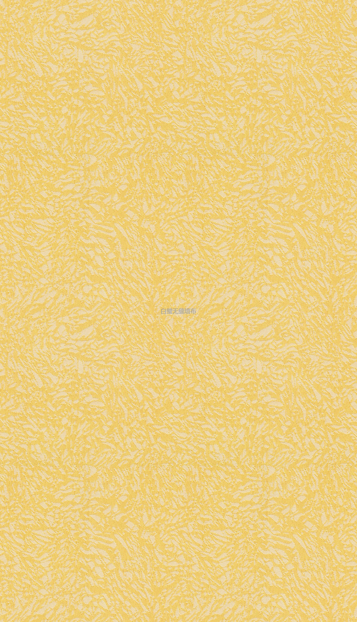 11005-06000޷ǽ.jpg